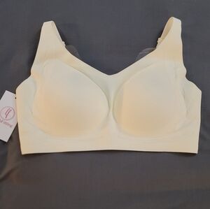 BNIBWT. WOMEN'S LUSH FITTING POWERFUL PUSH-UP SEAMLESS BRA.